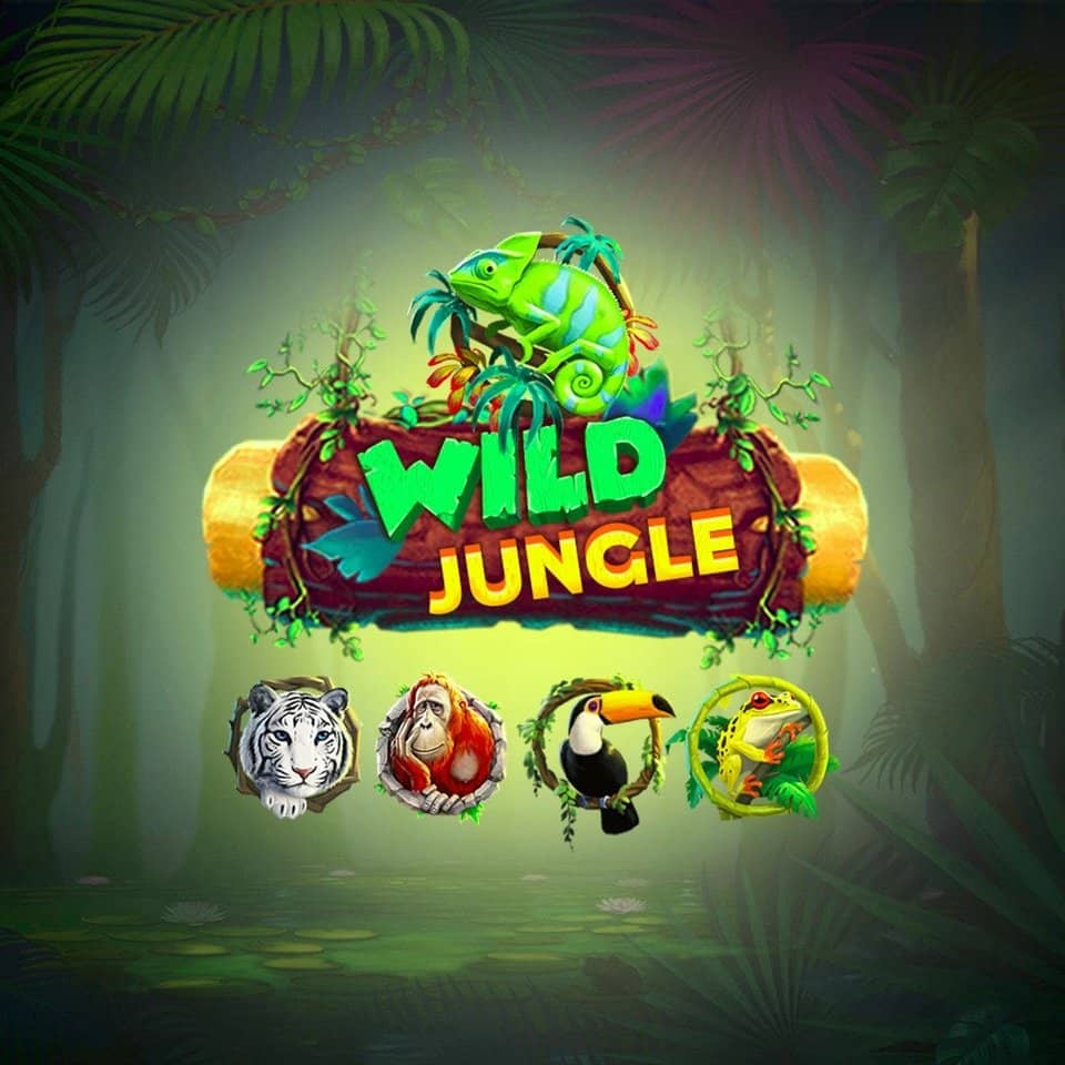 Jogo do foguete bet