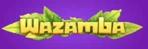 Gates of olympus blaze