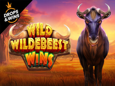 Bet365 login entrar